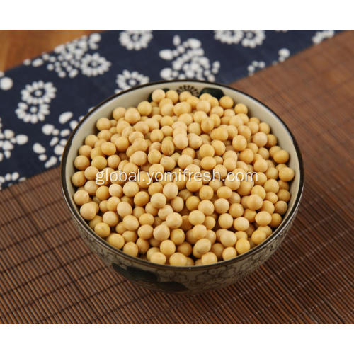 China Soybean Gluten Free Manufactory